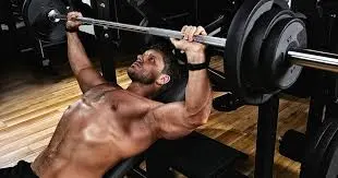 What is Workout Plans for Beginners?